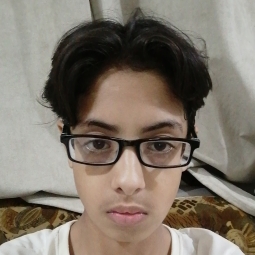 Shaheer Awan - Primary and Middle Grades Class V Online Tutor in Islamabad