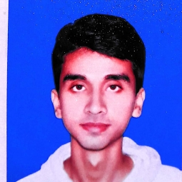 Ali Humza Alvi - Standard Tests Online Tutor in Gujranwala