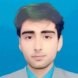 Hamza Tahir - F.Sc / I.Com / ICS Online Tutor in Bahawalpur