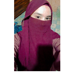 Summaiyya Jawaid - Primary and Middle Grades Class II Home and Online Tutor in Karachi