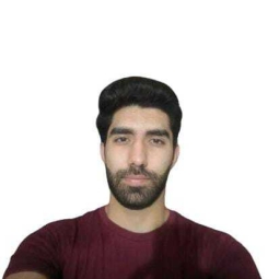 Muhammad Usman - F.Sc / I.Com / ICS Online Tutor in Faisalabad