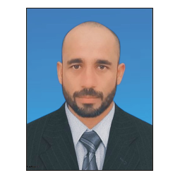 Amir Hayat - Matriculation Online Tutor in Sargodha