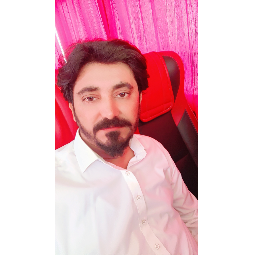 Muhammad Asghar - Business and Social Sciences Online Tutor in Bahawalpur