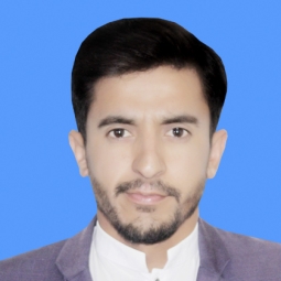 Raja Muhammad Usman Ali - O-Level Physics Online Tutor in Islamabad
