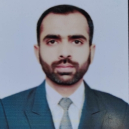 Sibtain Abbas - Home and Online Tutor in Faisalabad