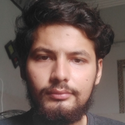 Ali Baig - Primary and Middle Grades Class VII Online Tutor in Karachi