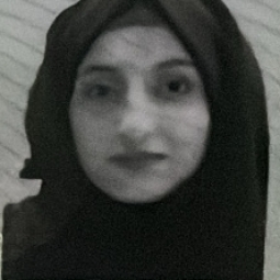 Ayzal Noor - Mathematics Home and Online Tutor in Rawalpindi